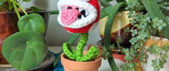 Free crochet pattern Piranha Plant from Super Mario